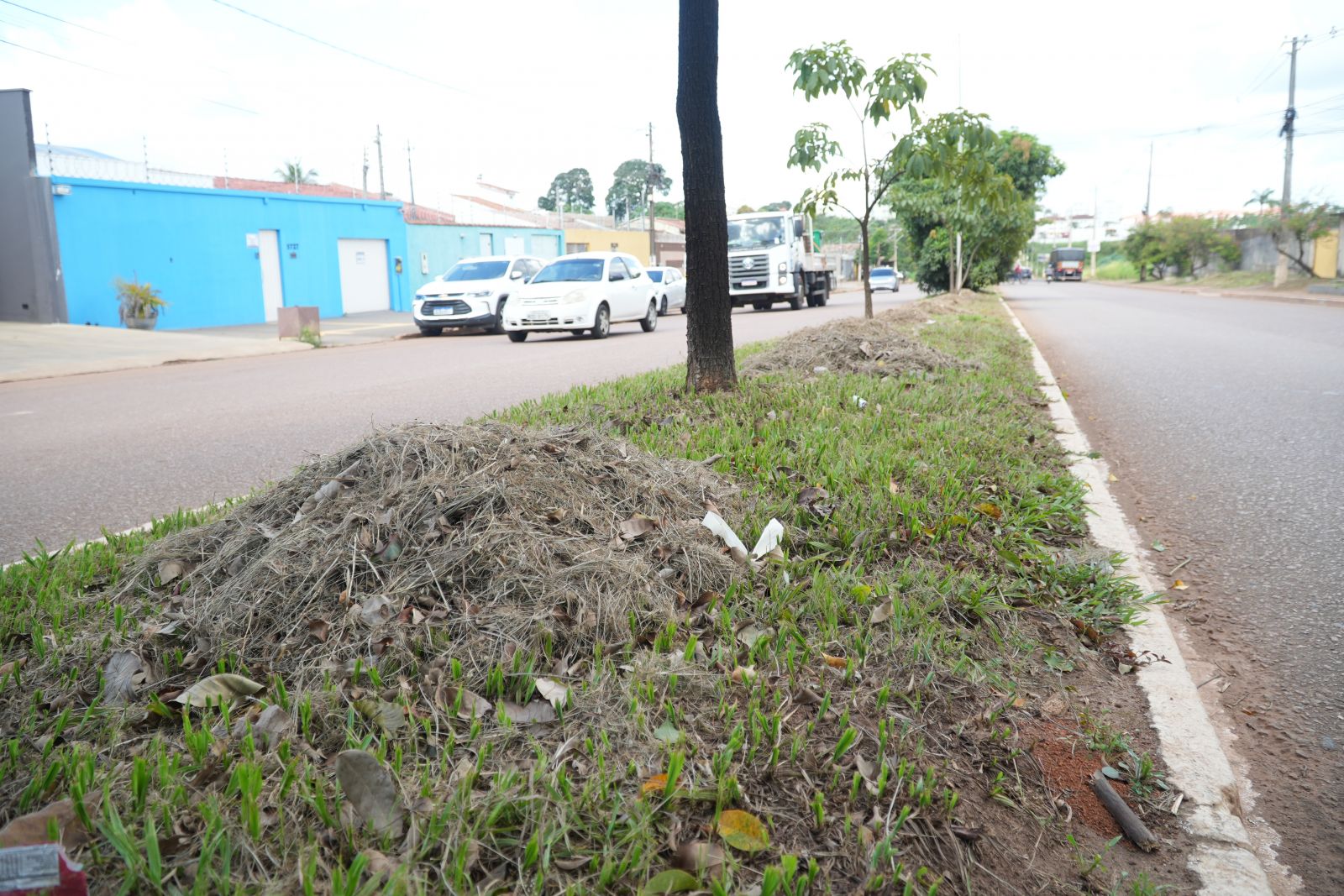 De acordo com dados do Limpômetro, entre janeiro de 2025 e março de 2026, já foram executados 596.540 metros de pintura de meio-fi